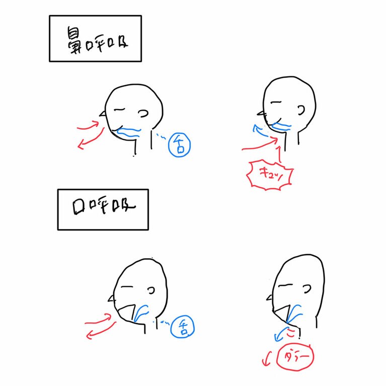 鼻呼吸では舌は上あごについているが、口呼吸だと舌が落ちる。