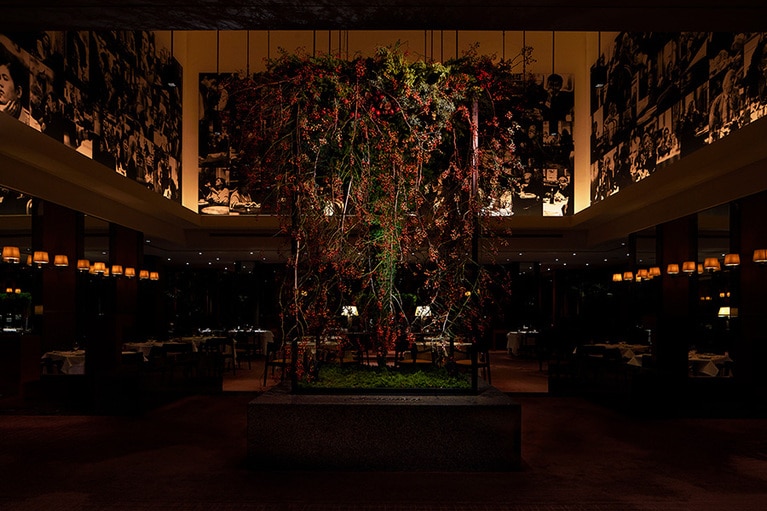 「パークハイアット東京」の過去のクリスマスツリー。