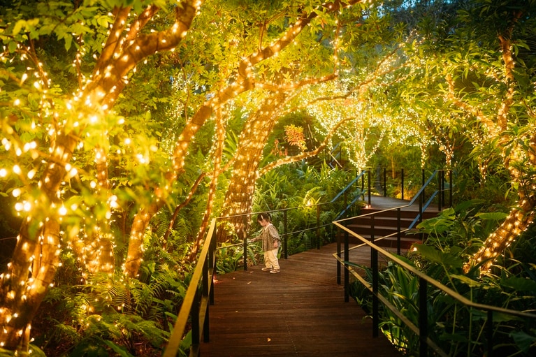 デッキのイルミネーション。