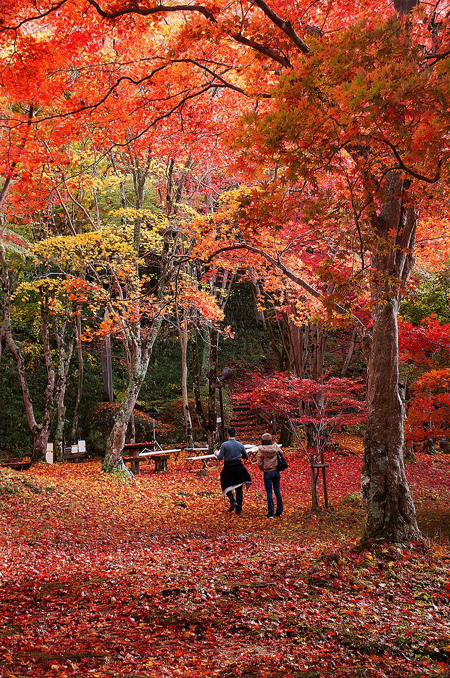 笠置山 もみじ公園の紅葉。