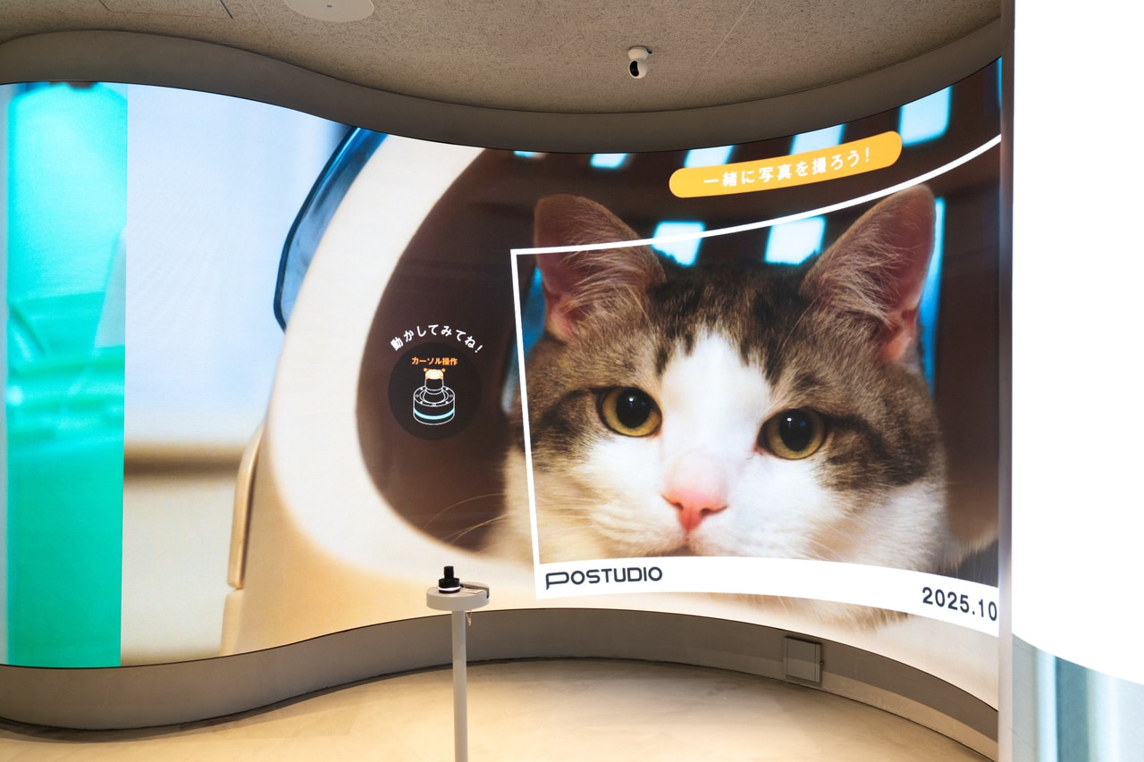 猫とツーショットが撮れる「猫フォト」。かわいいと思ったら、手元のコントローラーで動画を一時停止させて撮影する。