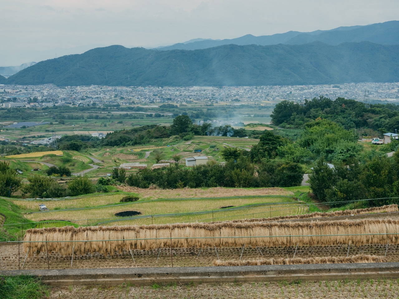 2025.10.3 長野県千曲市の風景。米作りと納豆。切っても切れない密な関係。