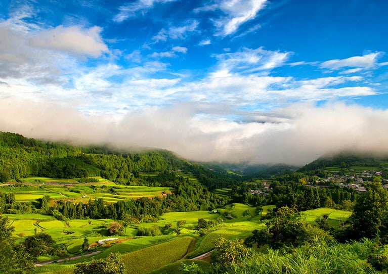吉延の棚田／高知県