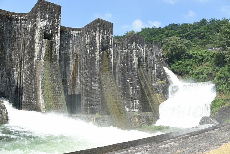 豊稔池の放流／香川県