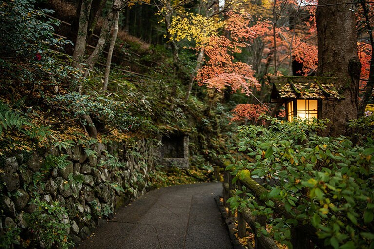 大堰川の上流にある「星のや京都」は、街の喧騒とは無縁。敷地内を照らすのは、月や星の光を感じられる柔らかな照明。