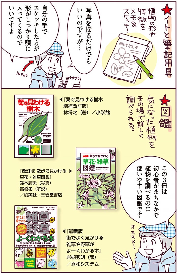 『まちなか植物観察のススメ』より。