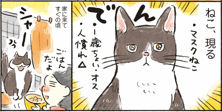 おづまりこ『ごきげんな40歳になりたい』