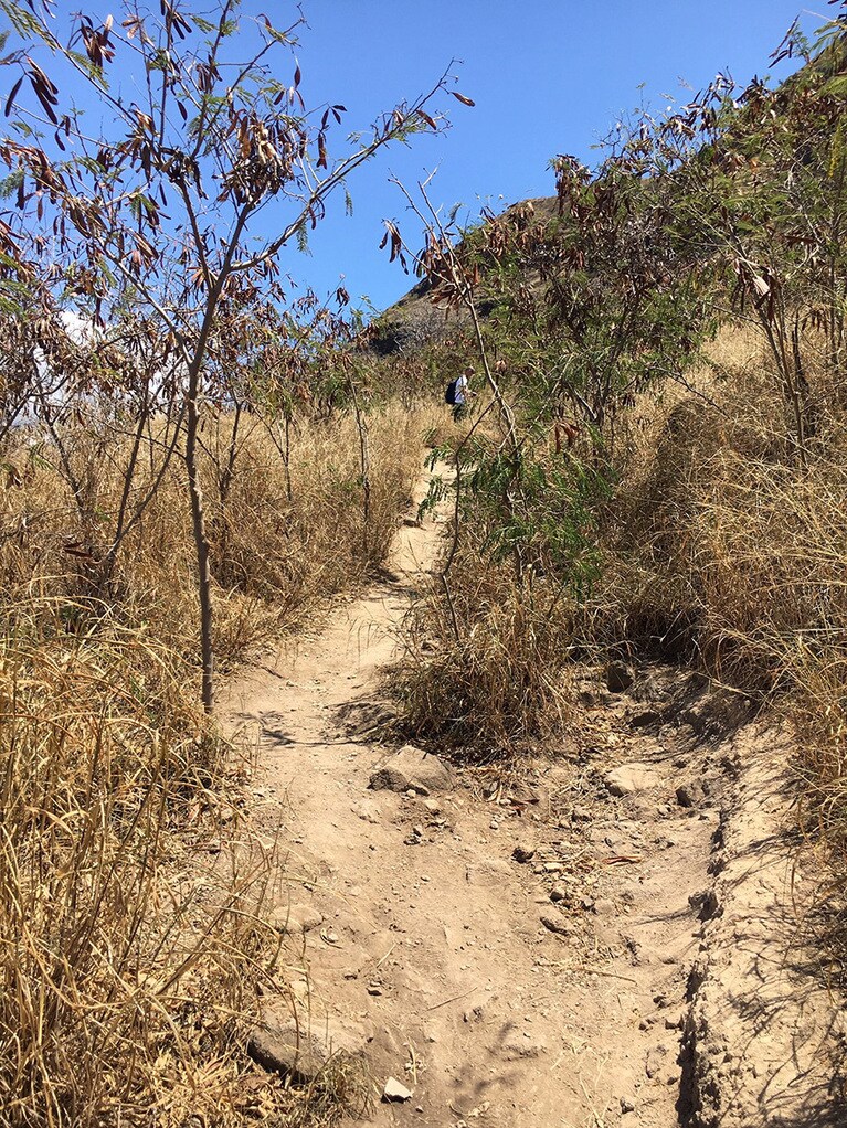 乾燥しているエリアなので入り口からじりじり暑い！　水分補給はマメに。