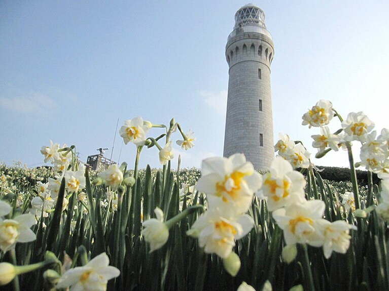 【山口県】角島灯台。