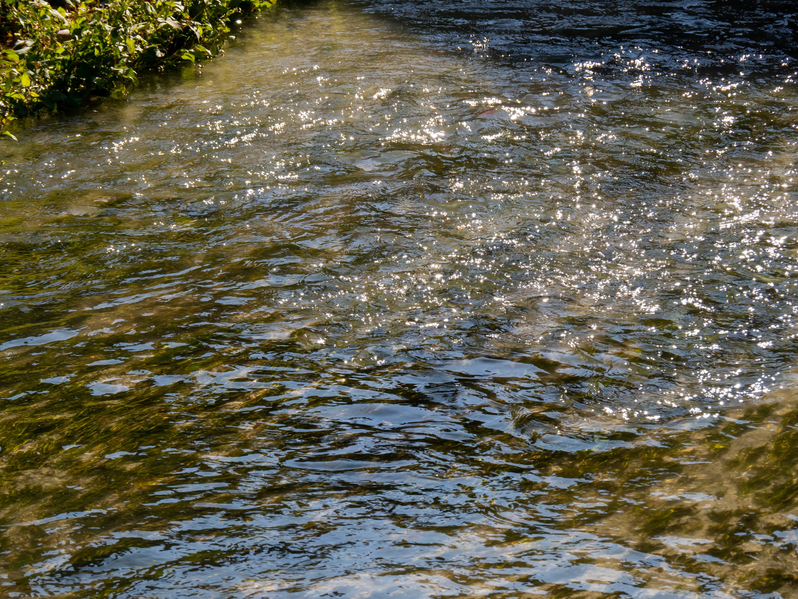 midoriimage/イメージマート