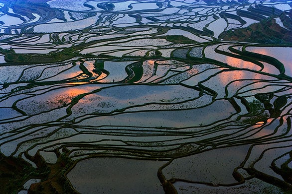 雲南省の少数民族が守り続ける まるで地上絵のような棚田 | 今日の絶景