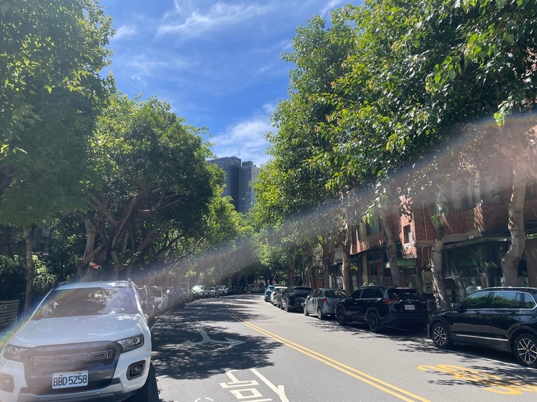 木漏れ日が心地よい富錦街の街。