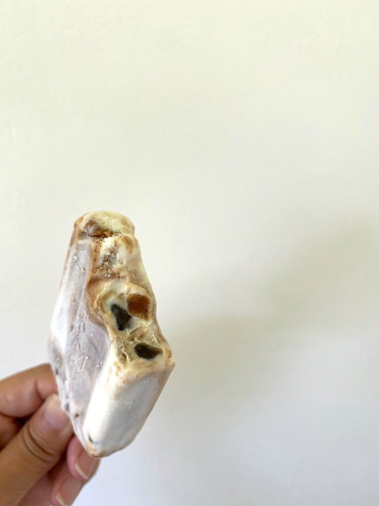 タピオカの「断面萌え」を撮る日が来ようとは！