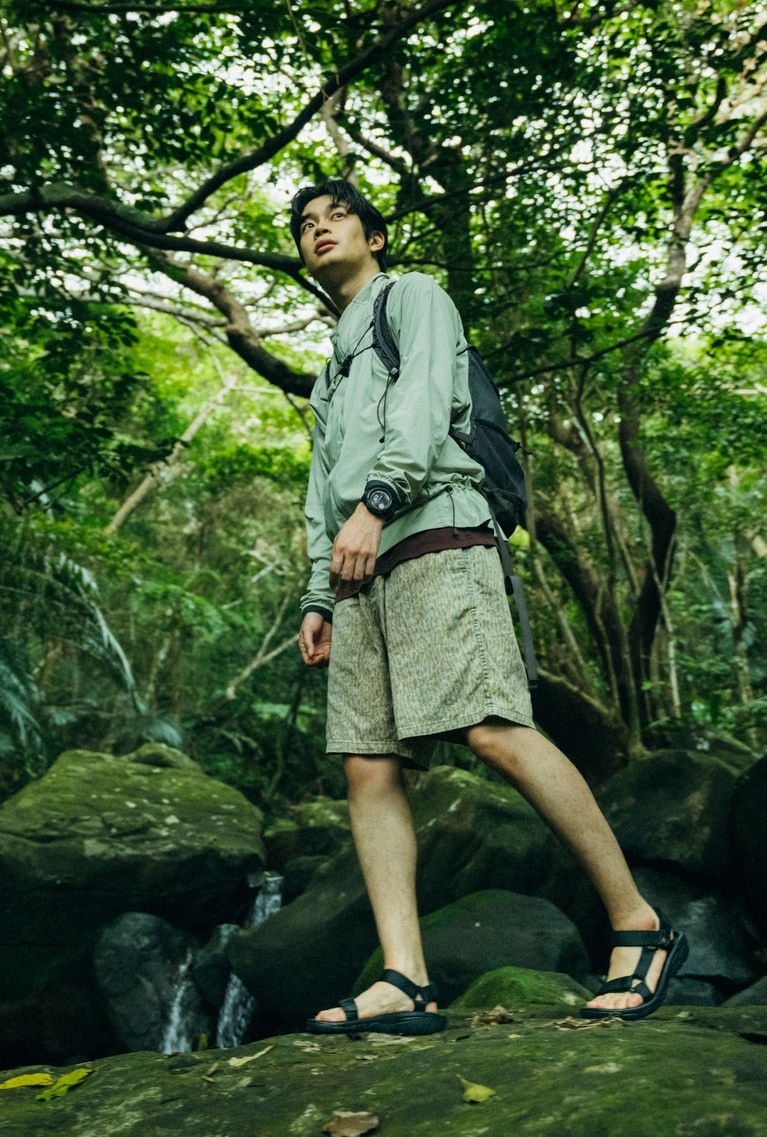 「Hurricane Terra Dactyl」