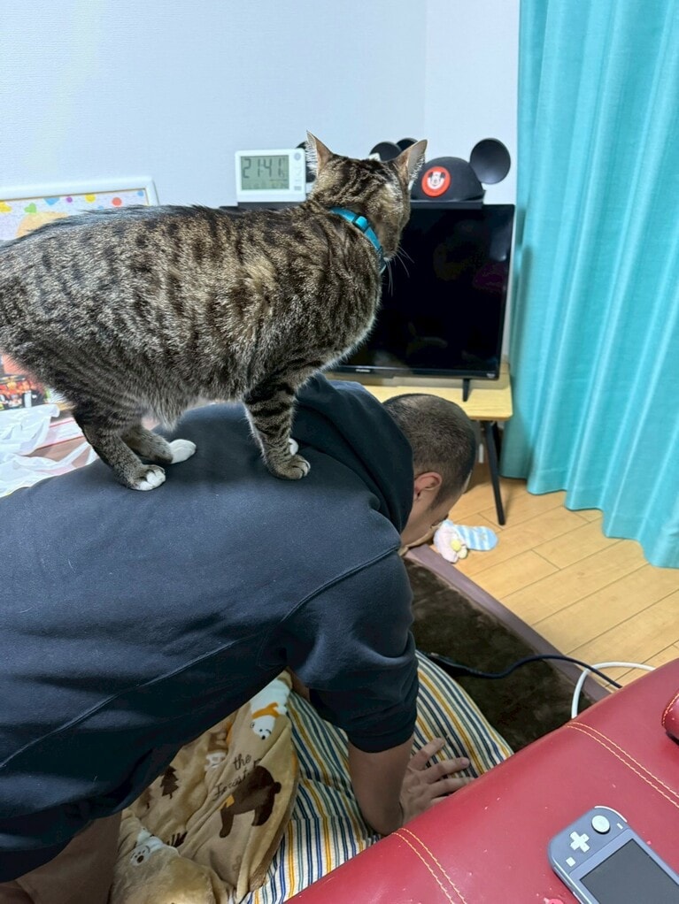 きしたかの・高野さんと愛猫・ごま吉。