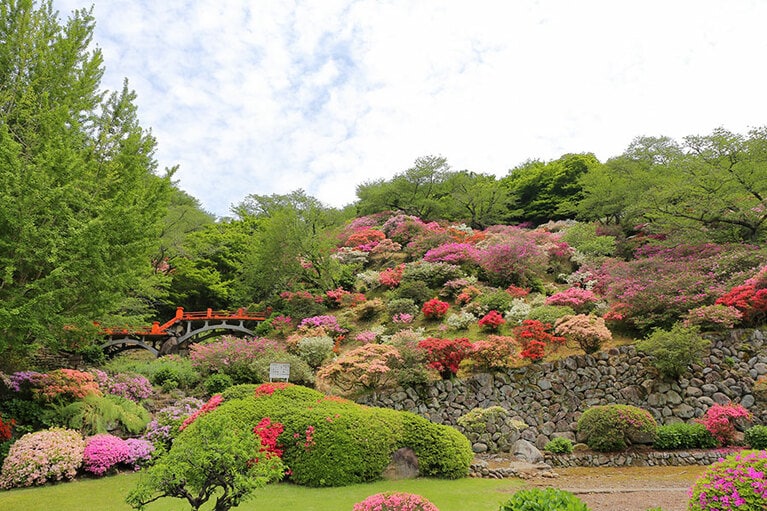 【佐賀県】祐徳稲荷神社外苑 東山公園のつつじ。写真：Renomimi/イメージマート