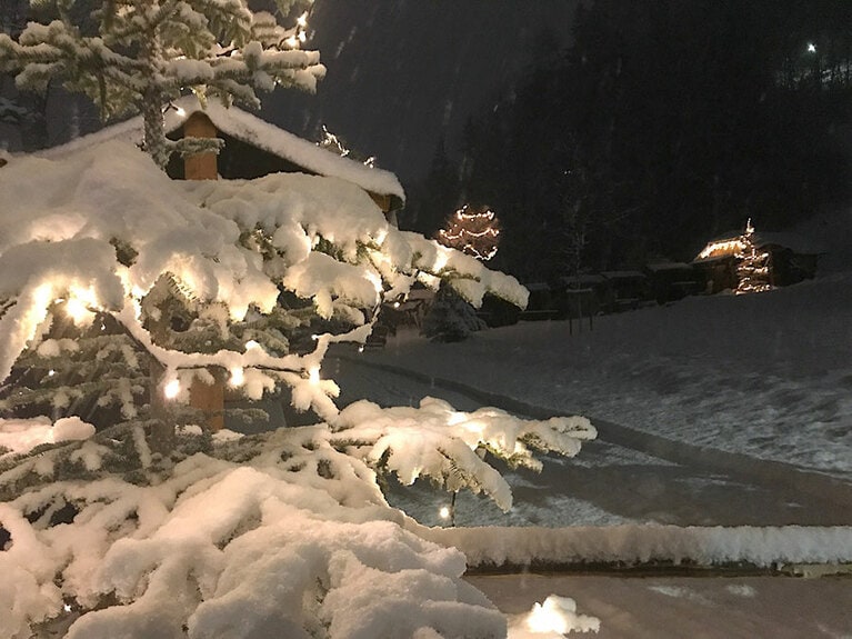 朝からの雪が降り積もって、すべての樹がクリスマスツリーのよう。