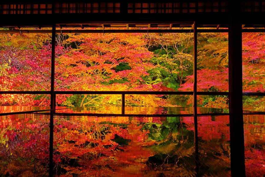 【京都府】©️写真コンシェルジュ／PIXTA　瑠璃光院の紅葉。