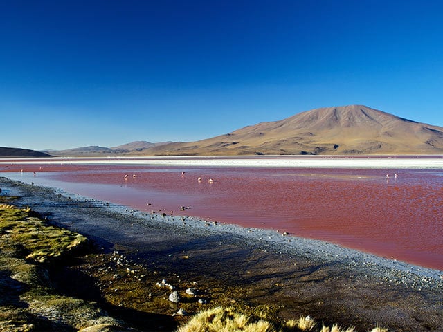 美しさではウユニ塩湖にも劣らぬ ボリビア高原の神秘的な赤い湖 今日の絶景