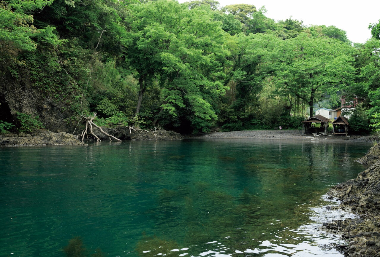 虫谷の入江。