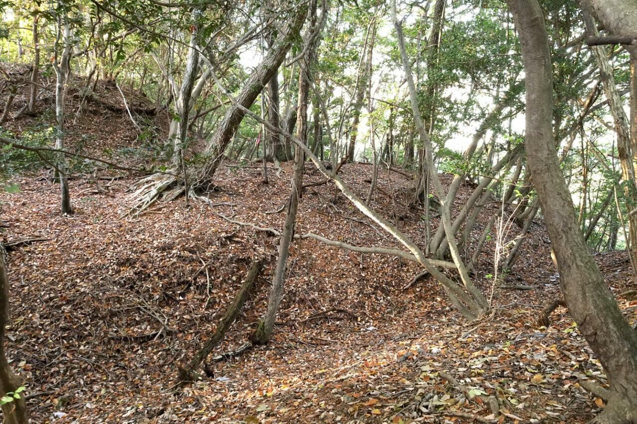 二重堀切を下から見上げる