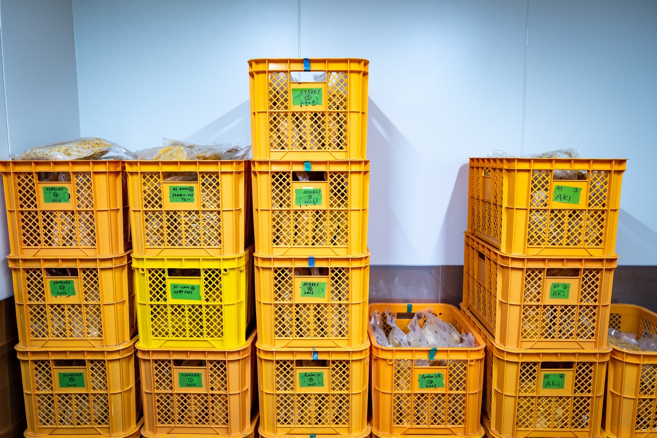 冷凍室にはジンの材料となるさまざまな素材が保存されている。