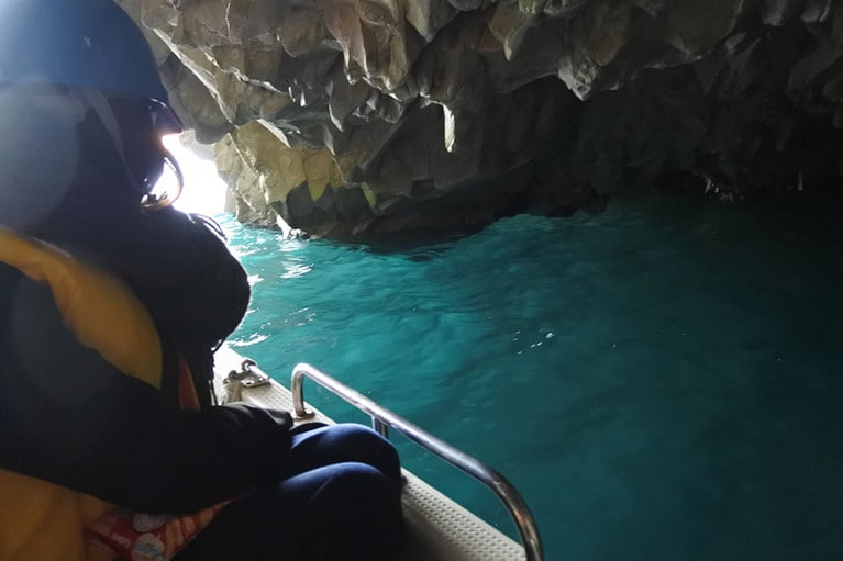 頭上を気にしながらも、見入ってしまうブルー。