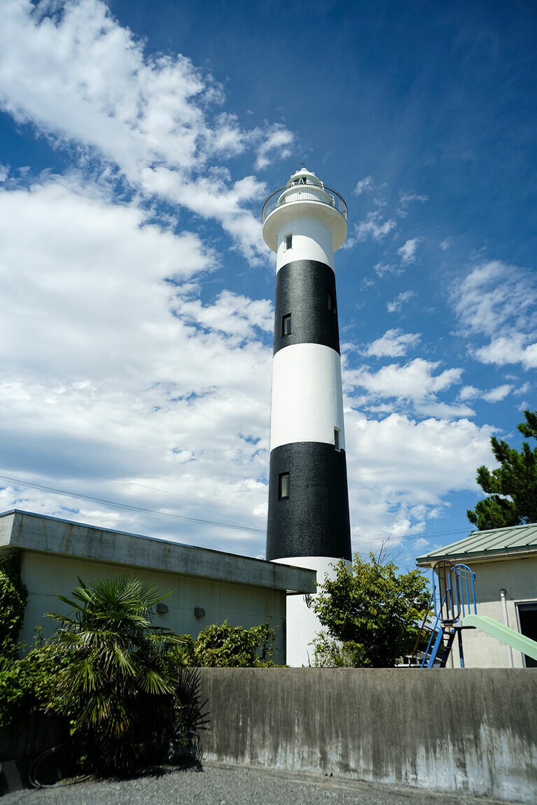 パンダのように白黒に塗り分けられているのは、冬に背景の山々の雪の白さと識別できるように配慮されているため。