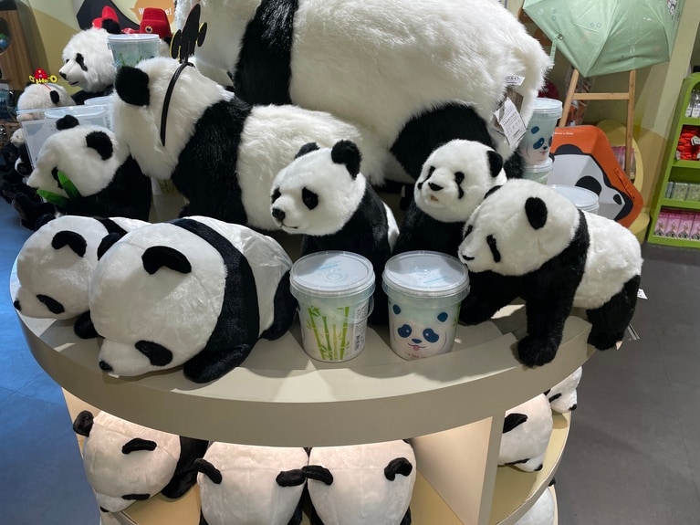 パンダ館内のパンダグッズショップには、さまざまな大きさのぬいぐるみをはじめ、多彩なパンダグッズが揃っています。