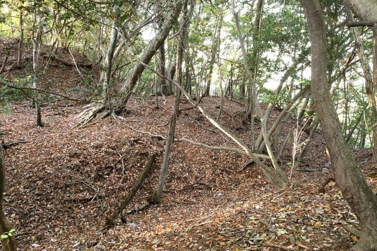 二重堀切を下から見上げる