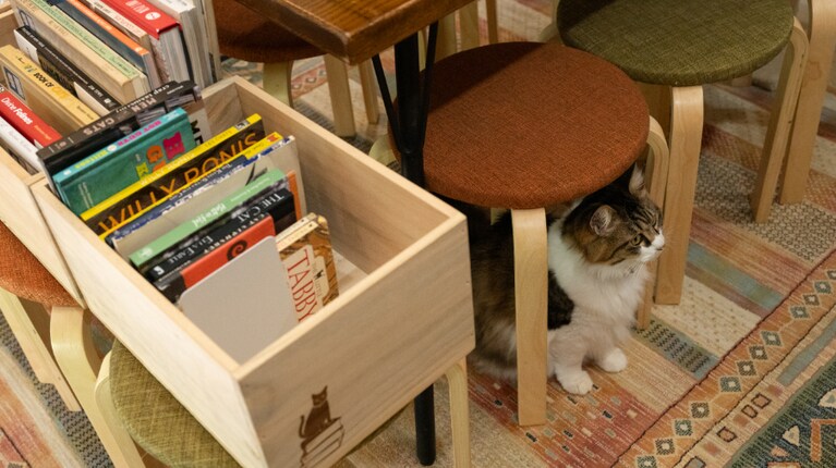 本をしっかり守ります。