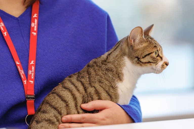 ドロンパくん。