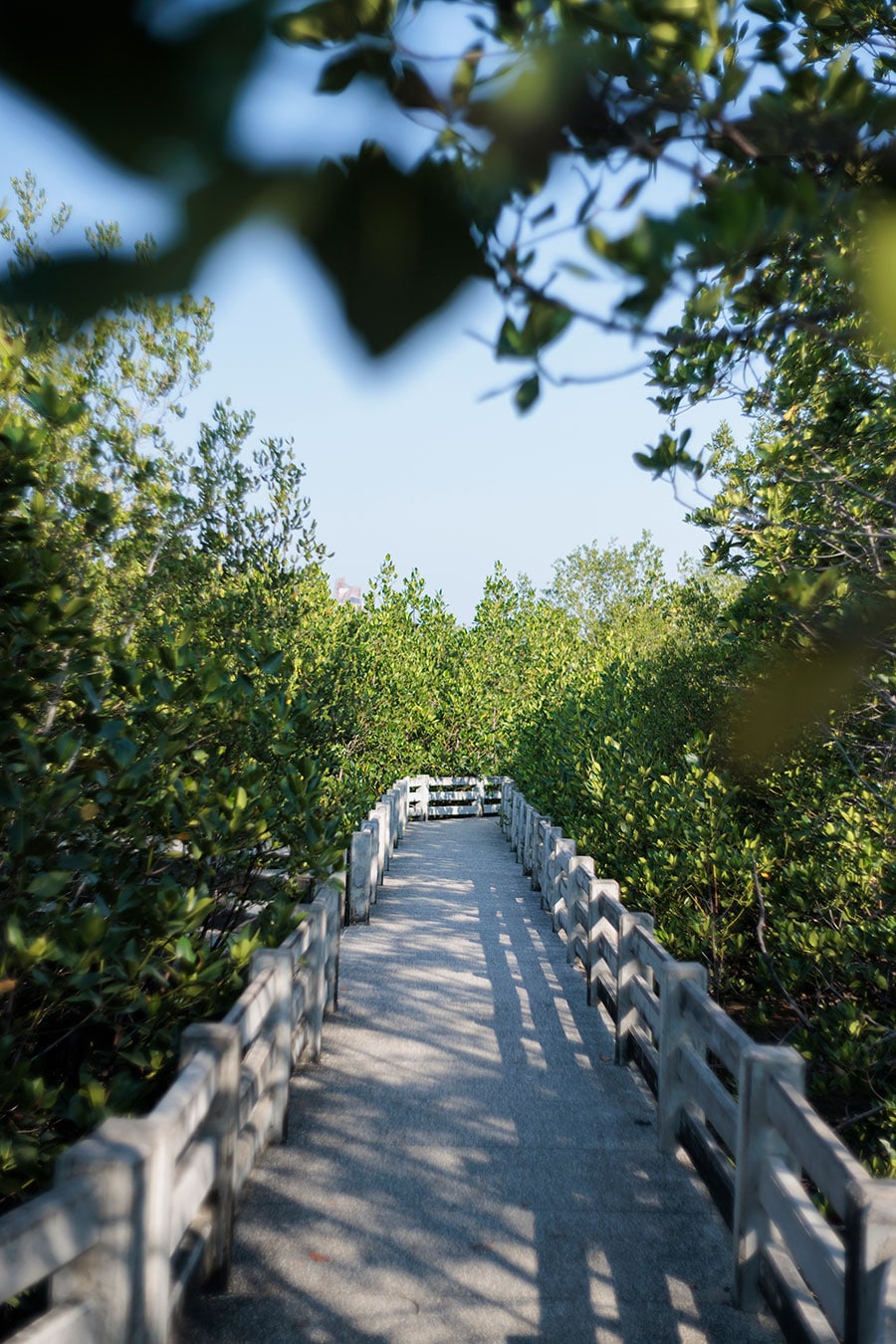 ホアヒンの都市部に現存する最後のマングローブ林を保護する「クライラー・ニウェー・マングローブ生態系保護プロジェクト」。