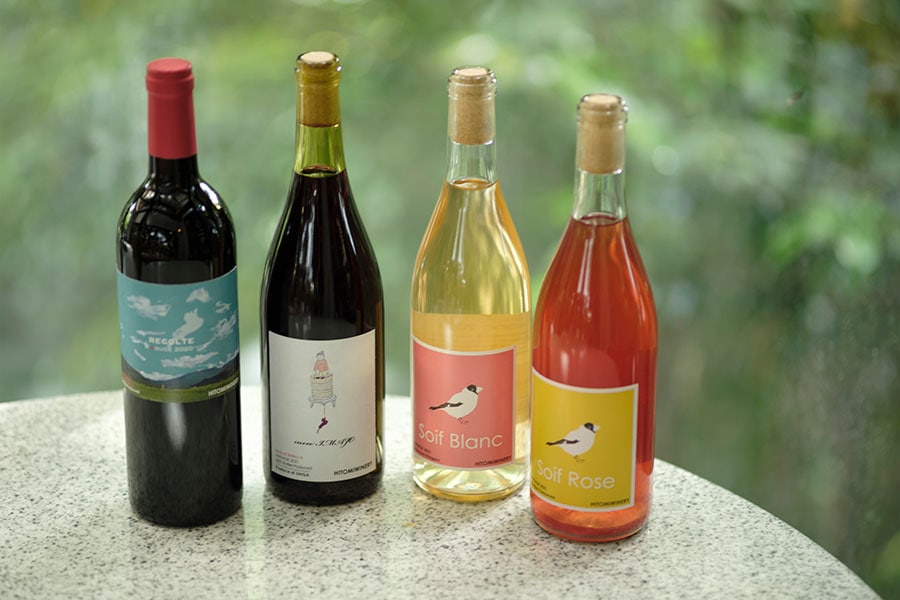 ワイナリーでは試飲ができるほか、人気のワインの購入も可能。