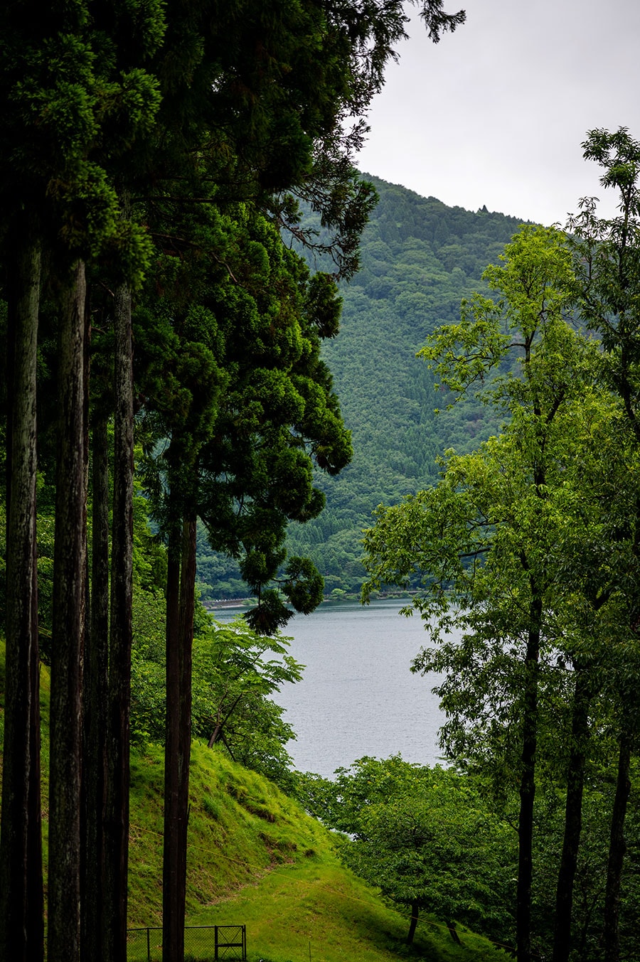 琵琶湖国定公園内に位置し、敷地面積は約4万坪。
