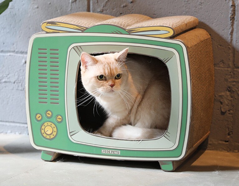 爪とぎ「TV」1,980円。