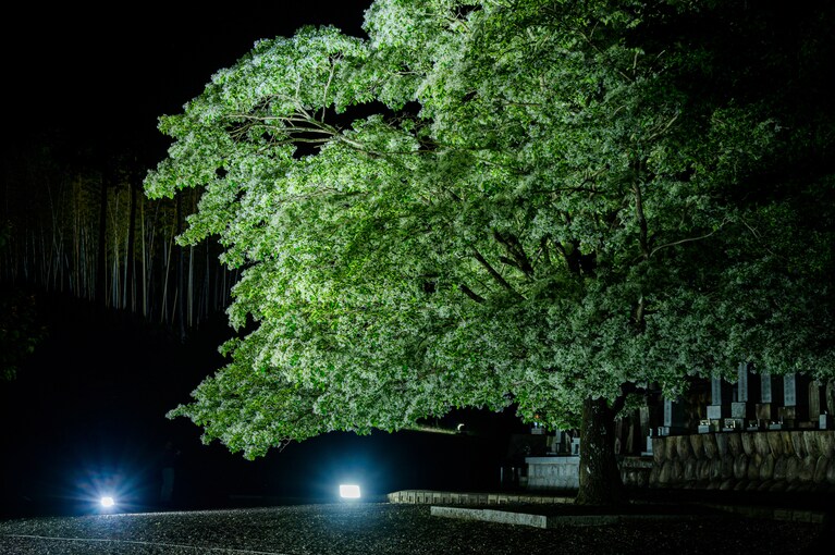 写真はイメージです。写真：GYRO_PHOTOGRAPHY/イメージマート