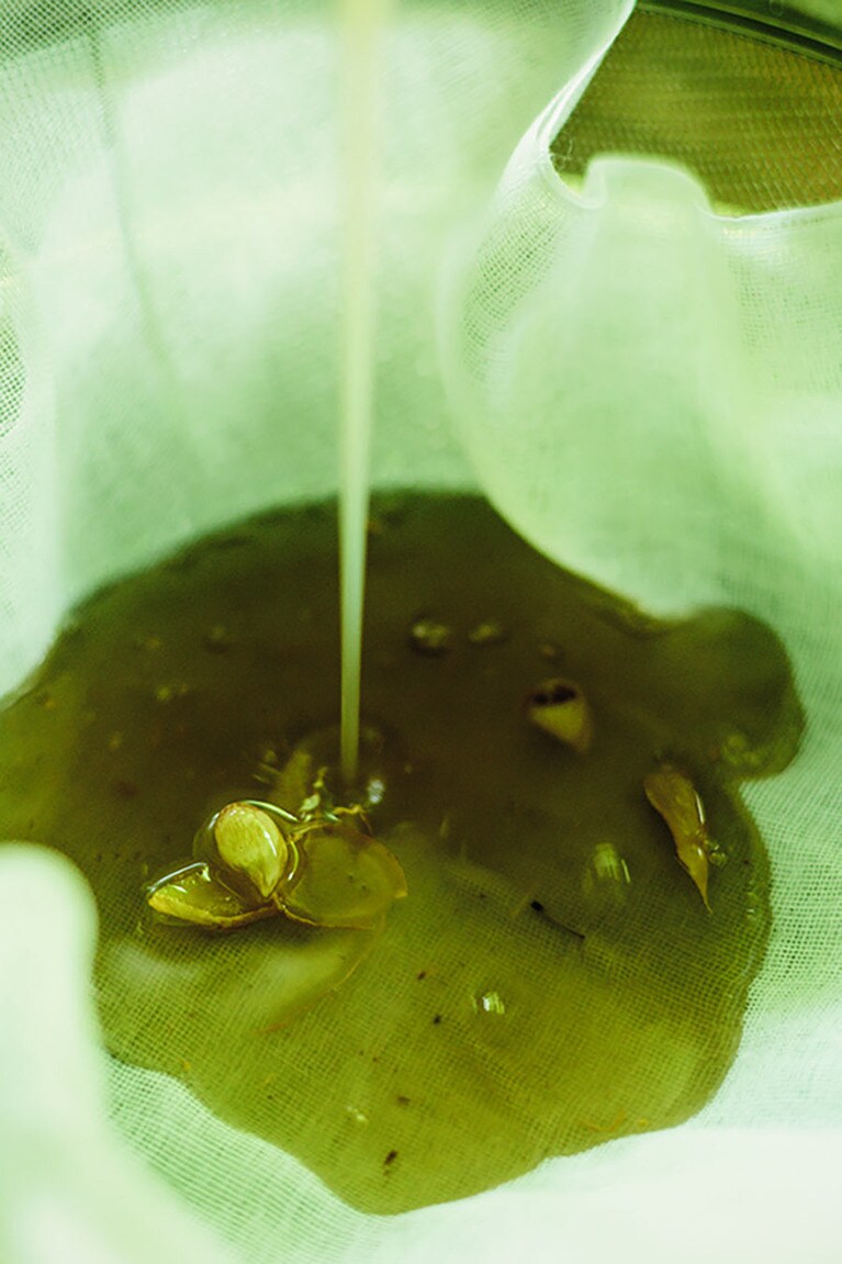 【養生館はるのひかり】Photo: Takafumi Matsumura