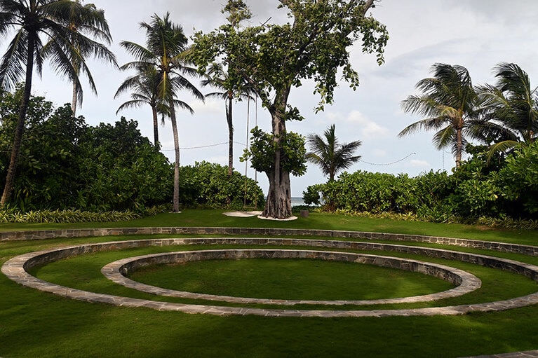 SNSで人気の、シンボルツリー的なバンヤンツリーの木。