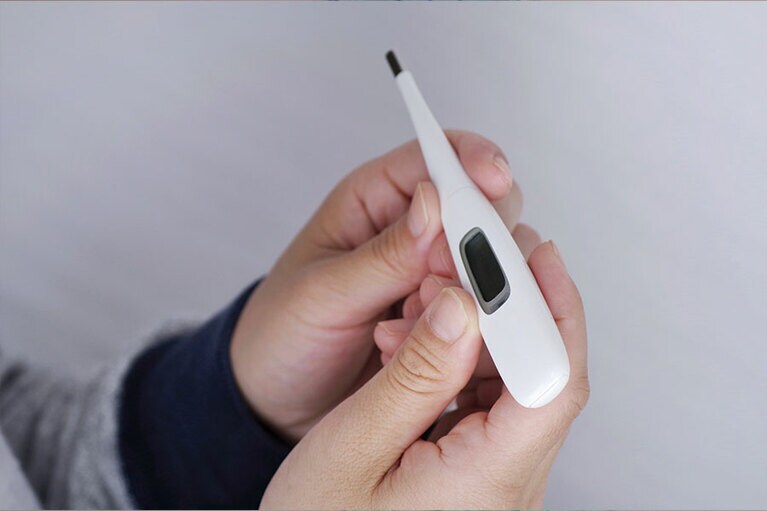 ※写真はイメージです