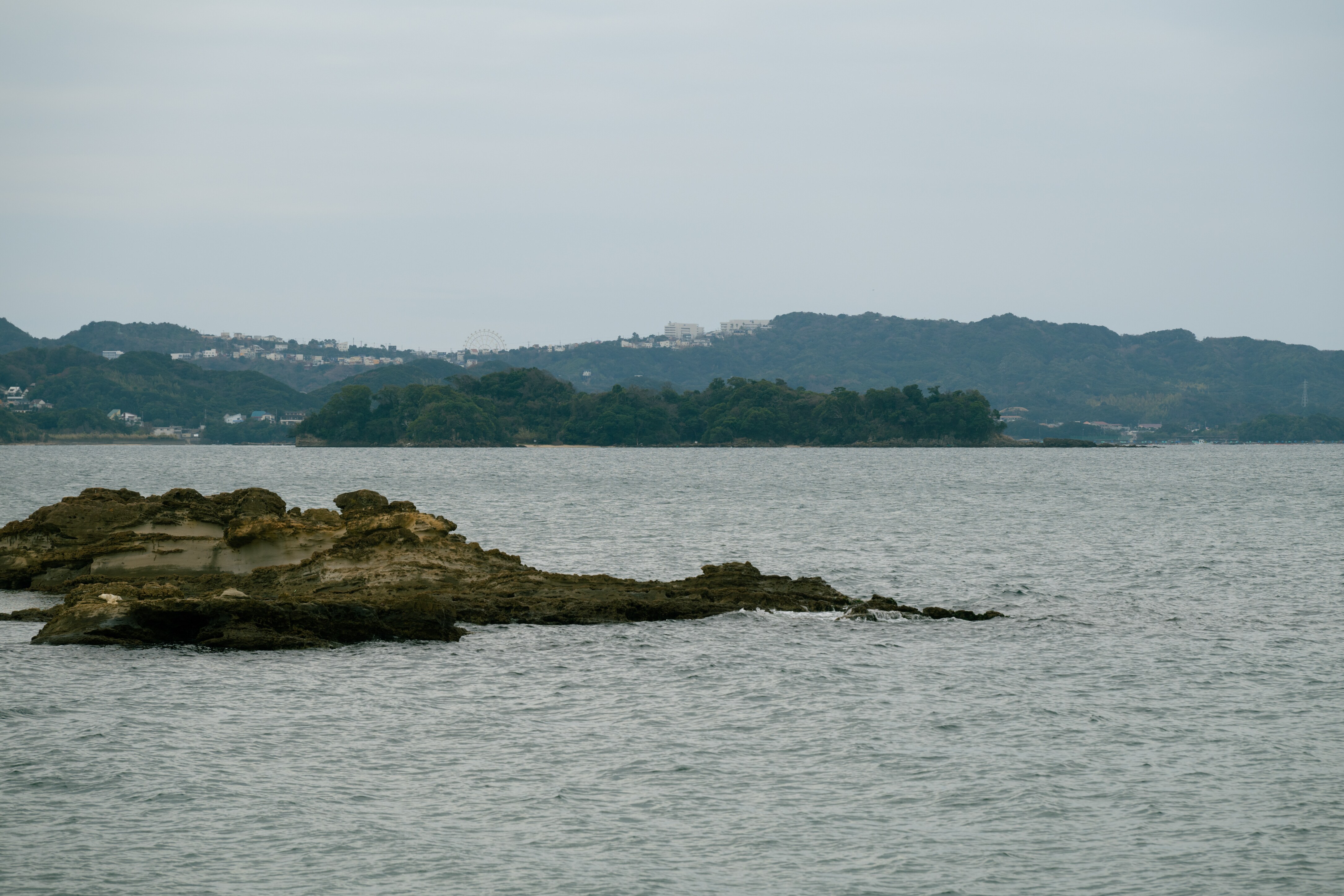 田辺湾に浮かぶ神島。 亜熱帯性の植物に恵まれたこの島は、熊楠にとってかけがえのない採集場所だった