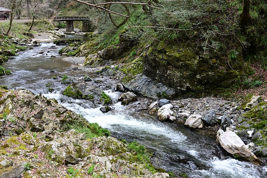 澄んだ水が流れる渓流沿いの遊歩道がヒンヤリとした気持ちのいい風が流れる。