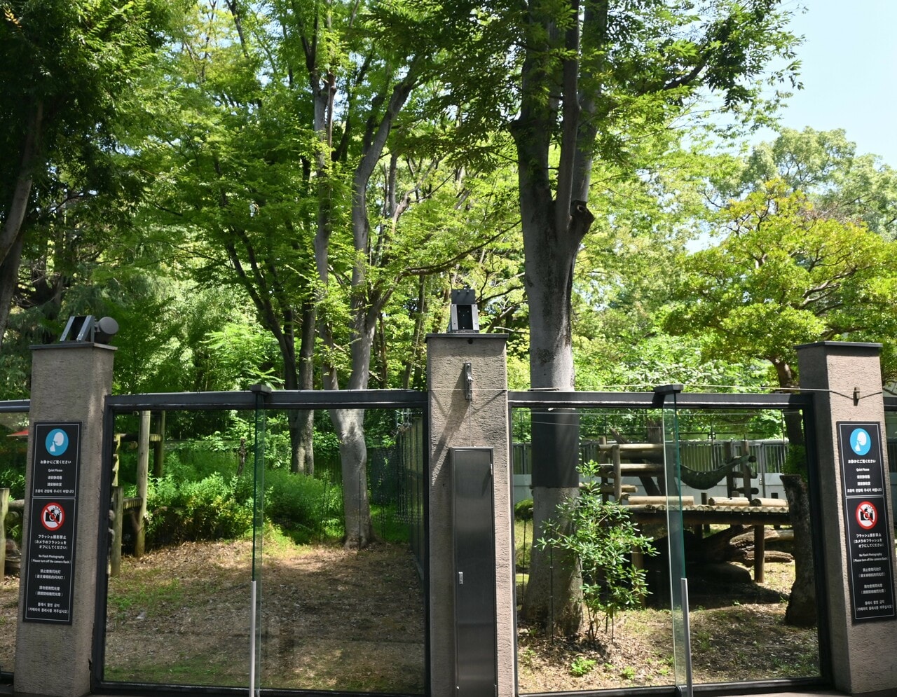 高い樹木が残る。左は「屋外放飼場C」、右は「屋外放飼場D」。（2026年7月25日、筆者撮影）