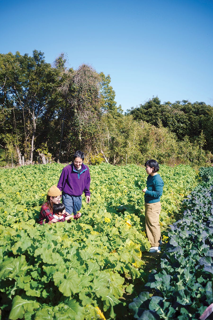 生命力溢れる畑で野菜談議に花が咲く。