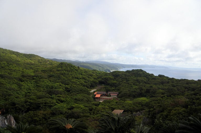 悟空岩から望む、大石林山から本部半島の海岸線。