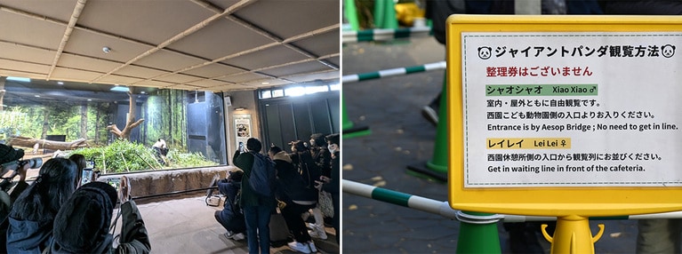 レイレイの屋内観覧エリア（左）と双子の観覧方法の案内（2025年12月9日、筆者撮影）