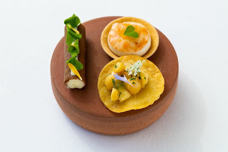 “グーダチーズのチュイル、ひよこ豆と川カマスのタラマの2種チップ”。