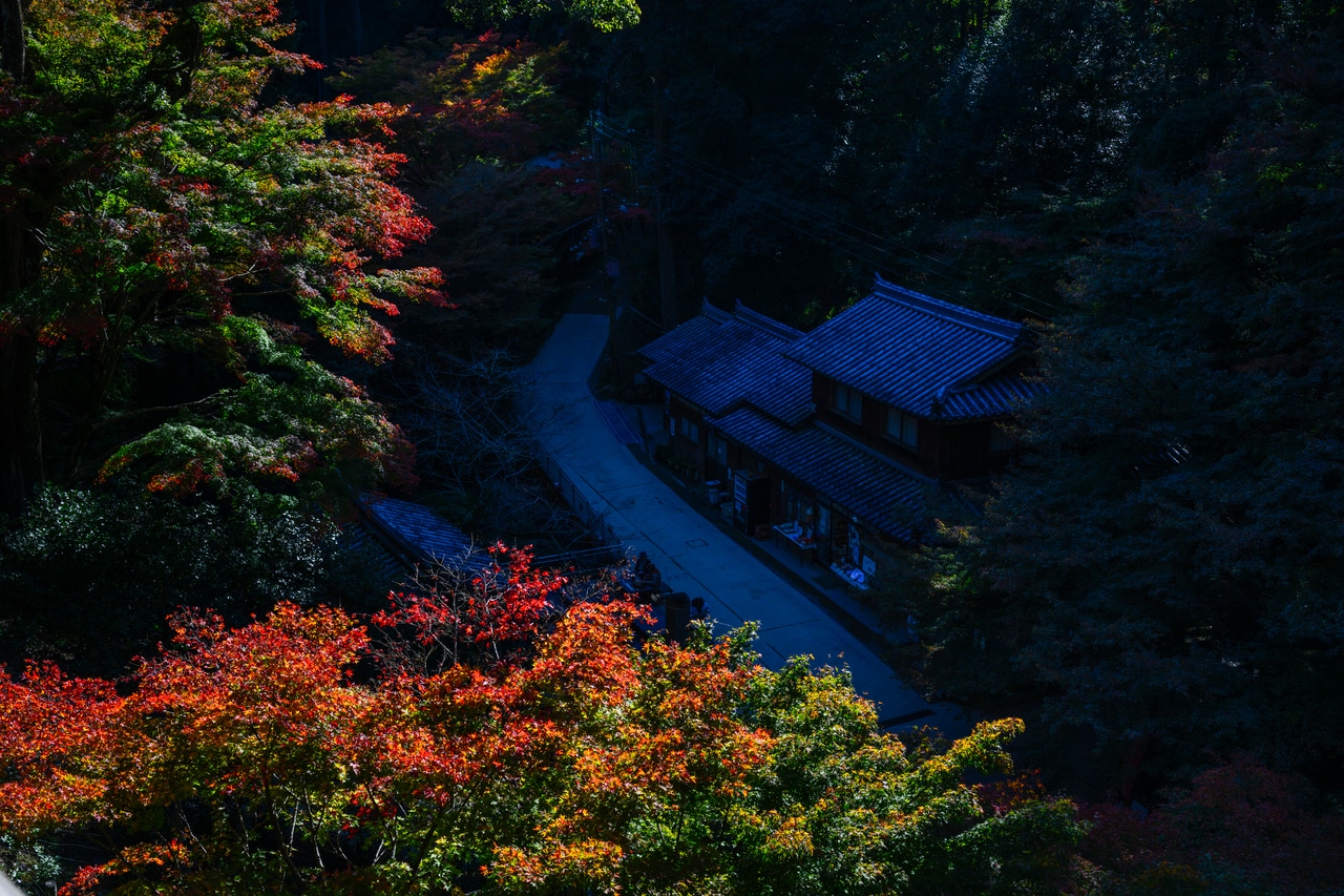 建築家の隈研吾氏も惚れ込んだ、書寫山圓教寺。