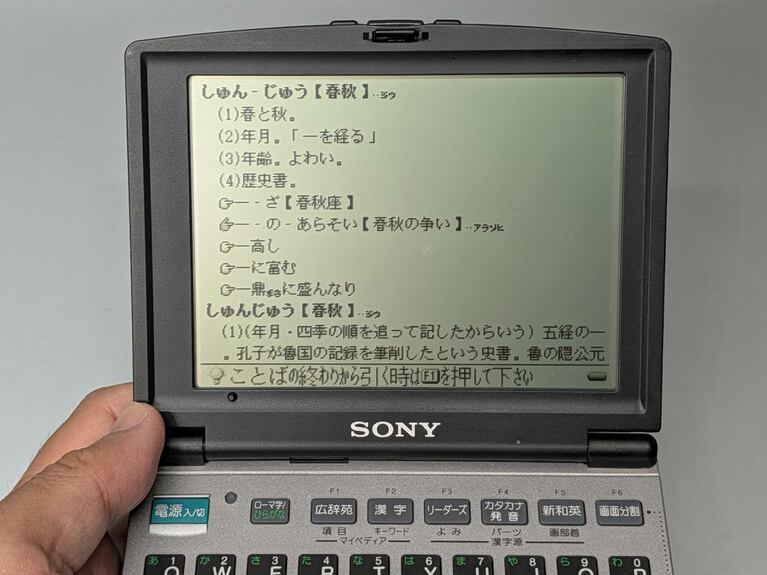 シリーズ最後のモデル「DD-S35」で画面を表示したところ。モノクロながら表示は鮮明