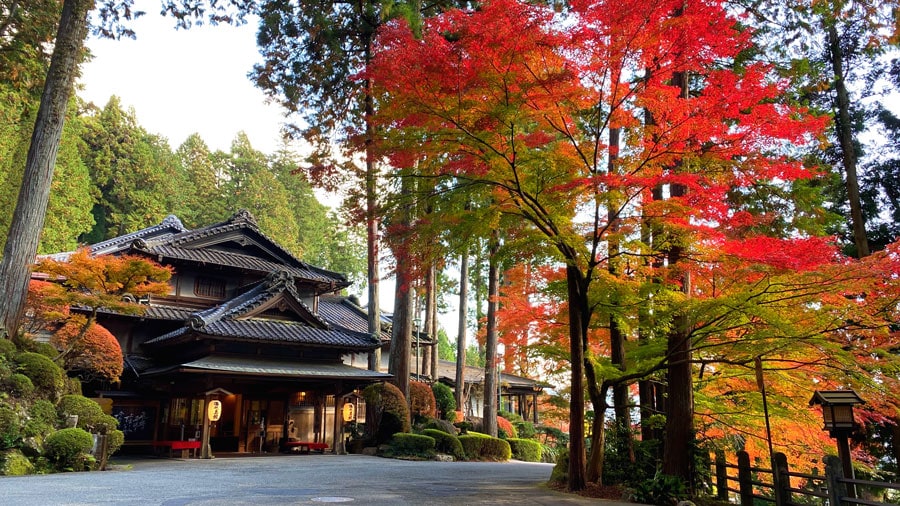 約5万坪の庭園のなかにたたずむ木造3階建ての本館。